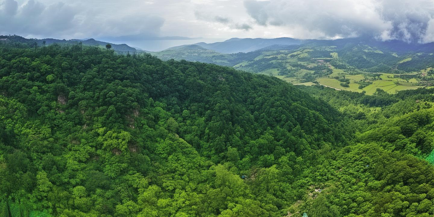 括苍山风车露营基地开放,长三角游客追星观日出首选之地